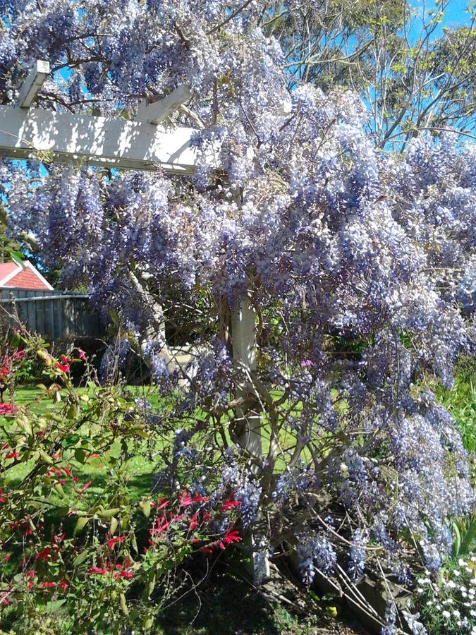 The Old Post Office Guesthouse B&B Paparoa Bagian luar foto